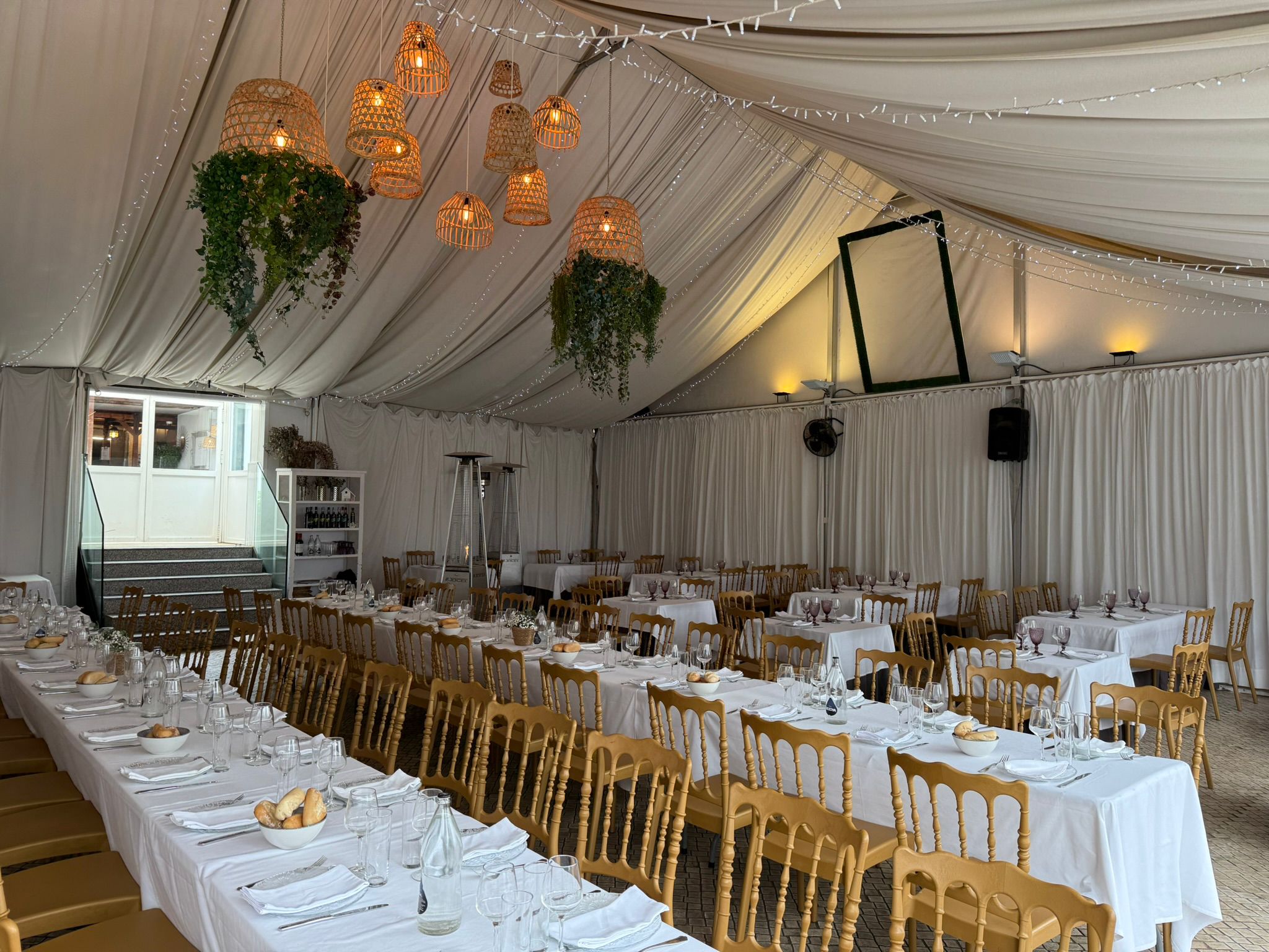 WhatsApp Image 2025-05-16 at 11.09.36 AM