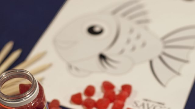 Niños gratis en Agosto!!!