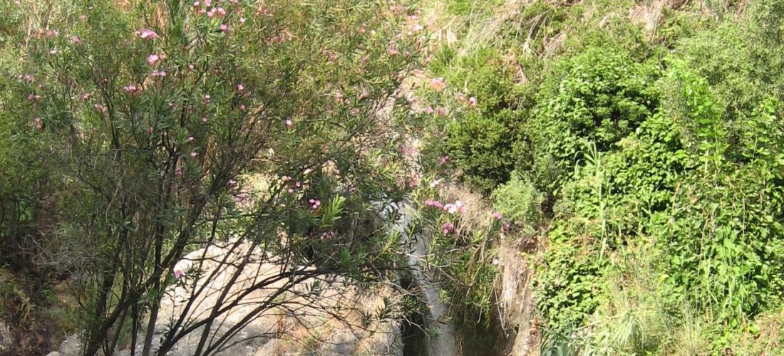7 alternativas a la playa en Alicante