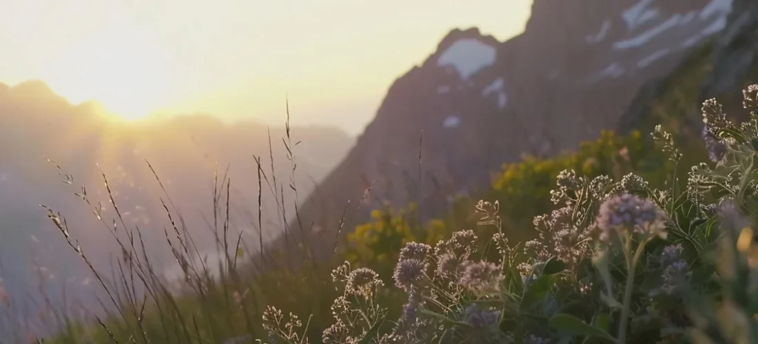 Alicante turismo interior: Naturaleza y deporte